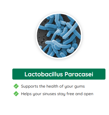 Captura de tela 2024-12-04 203047